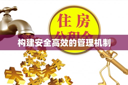 西和构建安全高效的管理机制