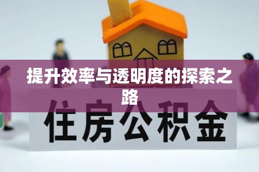 西和提升效率与透明度的探索之路