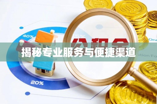西和揭秘专业服务与便捷渠道
