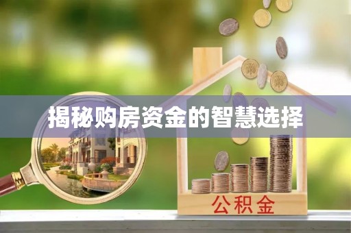 西和揭秘购房资金的智慧选择
