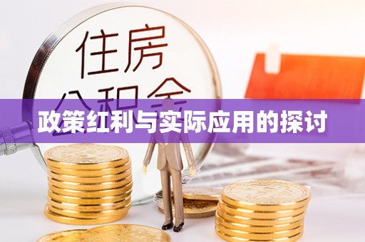 西和政策红利与实际应用的探讨