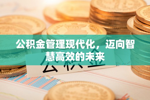 西和公积金管理现代化，迈向智慧高效的未来