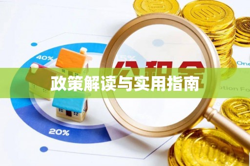 西和政策解读与实用指南
