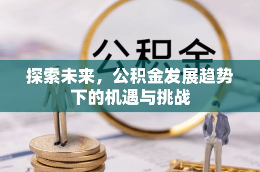 西和探索未来，公积金发展趋势下的机遇与挑战