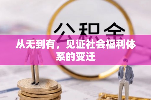 西和从无到有，见证社会福利体系的变迁