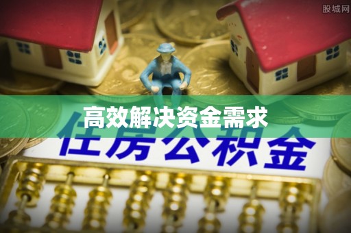 西和高效解决资金需求