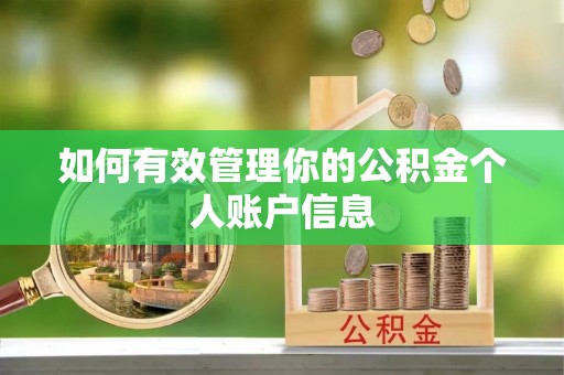 西和如何有效管理你的公积金个人账户信息