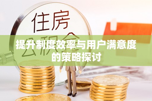 西和提升制度效率与用户满意度的策略探讨